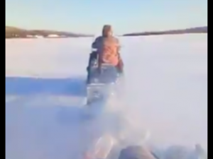 Видеофакт: Жители Якутии издеваются над собаками