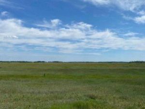 У местности Ус Хатын загорелся лес