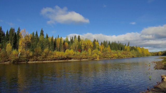 В Якутии один человек пропал в тайге, второй утонул в реке