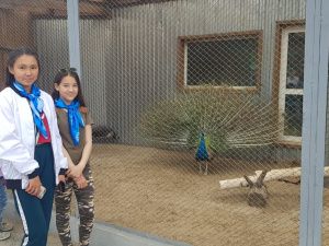 Дети многодетных и малоимущих семей города Якутска посетили зоопарк «Орто Дойду»