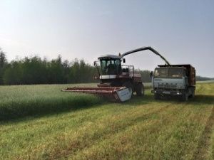 План кормозаготовительной кампании в Хангаласском улусе выполнен на 70%