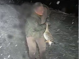 «Попали на камеру»: в сети появилось видео с запрещенной охотой в Якутии, начата проверка