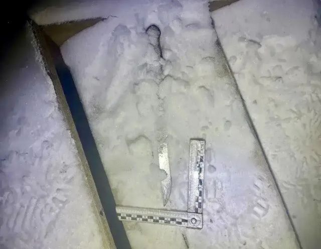 Жительница Якутии убила сожителя одним ударом ножа: Вынесен приговор