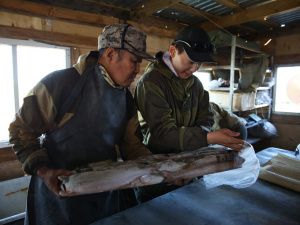 Айсен Николаев оценил работу рыболовных хозяйств Аллаиховского района