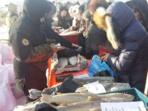 На выставке-ярмарке "Рыба Якутии-2018" реализовано около 50 тонн свежей рыбы