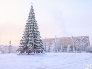 5 ноября на площади Республики начнут устанавливать новогоднюю елку
