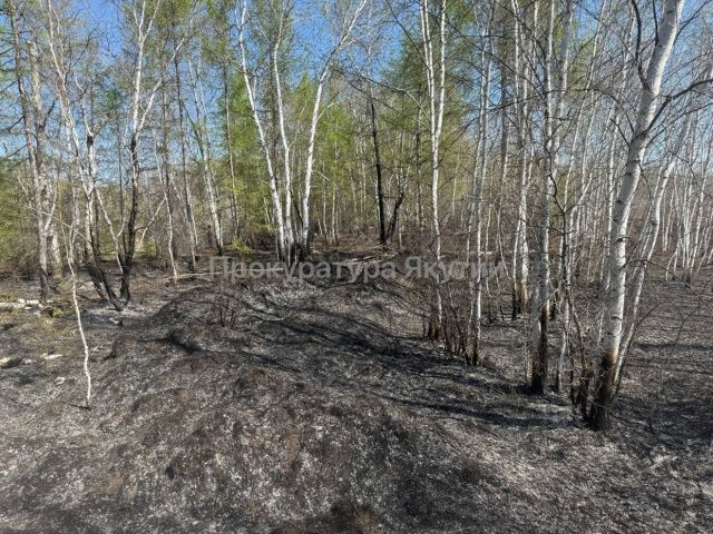 Якутянин отказался платить за лесной пожар, который он устроил