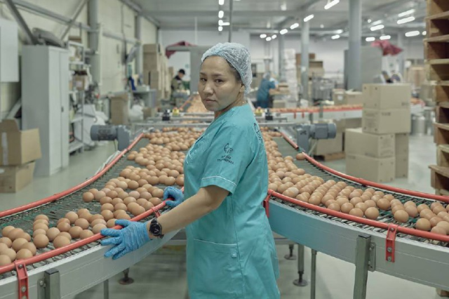 Портреты Якутской птицефабрики