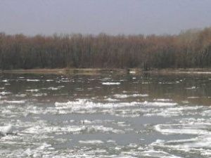 Начало ледохода на реке Лене в Иркутской области прогнозируют с 26 апреля