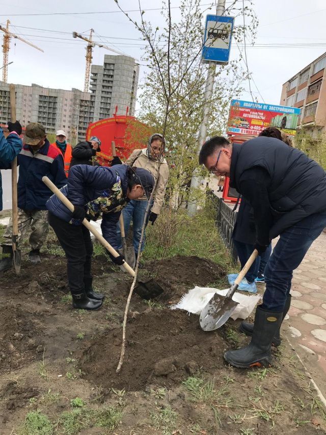 В Губинском округе провели акцию по посадке леса