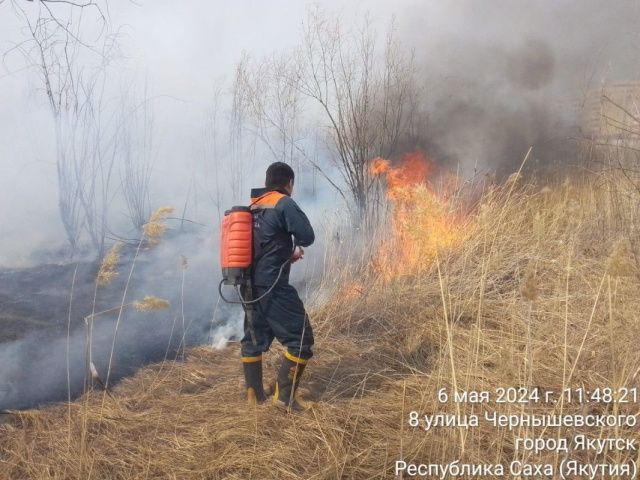 На Зеленом лугу ликвидируют возгорание сухой травы