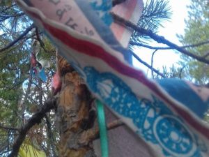 Не работа секты, а священный обряд. Дандар-лама прояснил ситуацию с флажками на Табагинском мысе