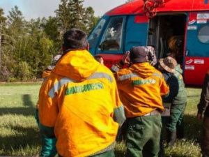 ФАС не выявила нарушений в закупках «Авиалесоохраны», которую обвиняли в коррупции