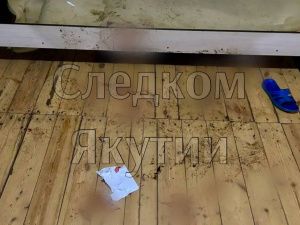 Убийство в селе Павловск в Якутии: Новый год оборачивается трагедией