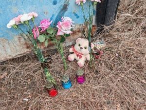 Приносят цветы и игрушки: Жители поселка устроили стихийный мемориал