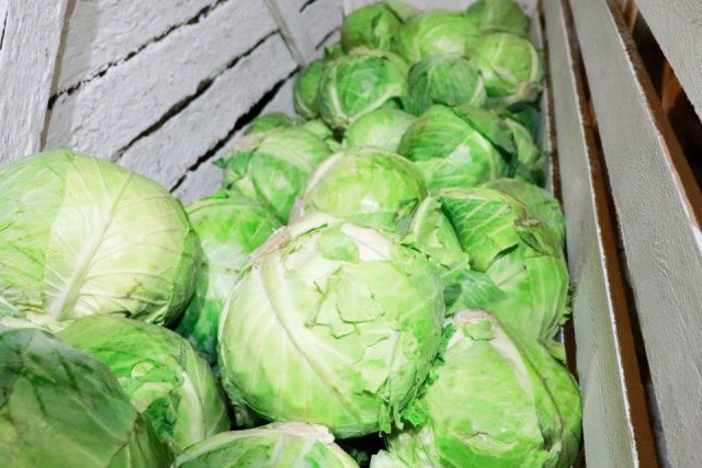 Заготовительная овощная кампания ведется в исправительных учреждениях Якутии