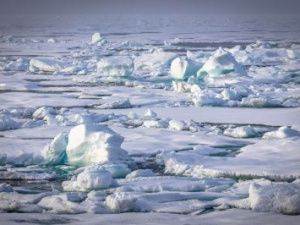 Россия развивает проекты научно-исследовательских станций в Арктике