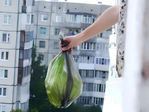 В Якутске братья выбрасывали через окно мусор, окурки и биологические отходы, а также оказали неповиновение полиции