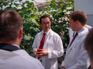 В Якутске может появиться японская клубника