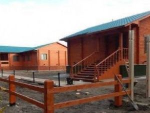 Следователи выясняют, что произошло на Лямпушке