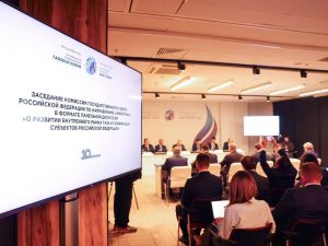 Газификацию регионов России обсудили на заседании комиссии Госсовета по энергетике