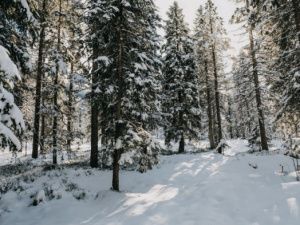 В Верхневилюйском улусе пропал 74-летний охотник
