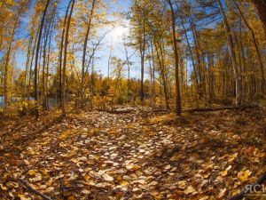 Последний этап кубка по трейлраннингу «Таёжные дебри» пройдёт на Чочур Муране