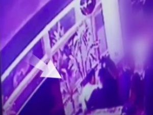 Посетитель спер из бара в Якутске надувную собачку