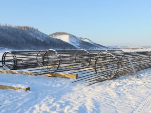 До конца года установят 50 свай Ленского моста