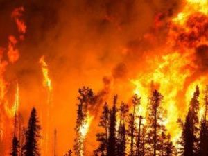 В Якутии тушат 10 лесных пожаров