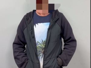 В Якутске полицейскими установлен мужчина, совершивший наезд на собаку