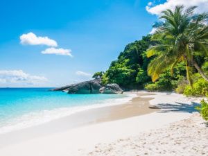 Лже-туроператор обманула жительницу Алдана на 550 тысяч рублей: От действий злоумышленницы пострадали около 300 человек