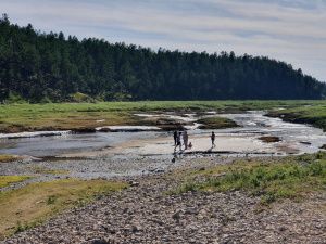 Глобальное потепление: нетающий ледник Булуус растаял