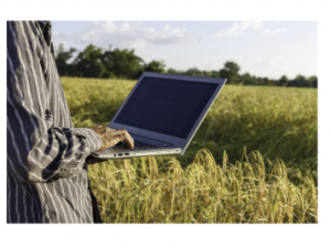 В Якутии при наличии электронной цифровой подписи можно зарегистрировать право на земельный участок