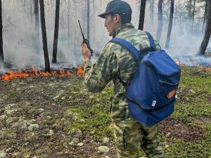 Лесные и ландшафтные пожары в Якутии: статистика, причины и меры реагирования