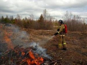 9 мая в Якутии пожарные выезжали на тушение травы семь раз
