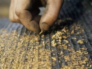 Жителя Якутии приговорили к двум годам колонии за незаконное хранение золота