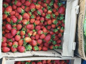 Свежая клубника от Артура Эм в центре Якутска!
