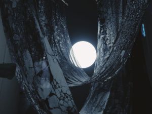 Художница Кюннэй-Йэн Сур представила свои работы на фестивале «Земля людей» в Санкт-Петербурге