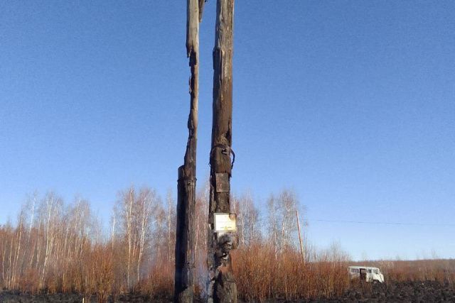 В Горном районе из-за несанкционированного сельхозпала пострадали опоры ЛЭП