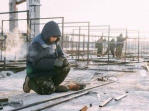 В Якутске количество мест в Пункте передержки безнадзорных животных увеличат до двух тысяч