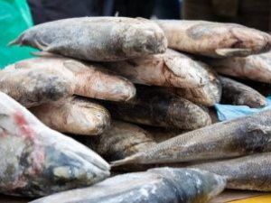 В Якутске состоится выставка-ярмарка «Рыба Якутии — 2019»