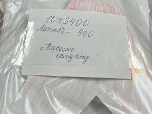 Участники «Движения первых» Якутии поздравили защитников Отечества