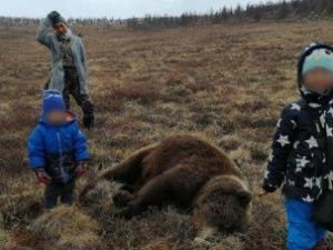 Медведя в Момском районе добыл оленевод. Он защищал родовое стадо