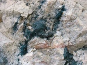 Ученые нашли признаки нефти на севере Якутии