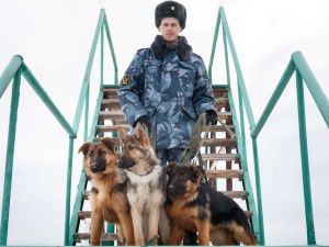 Восемь щенков служебных собак пополнили ряды кинологической службы республиканского управления ФСИН