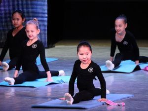 Прошедший год был успешным для Дома дружбы народов в Якутске