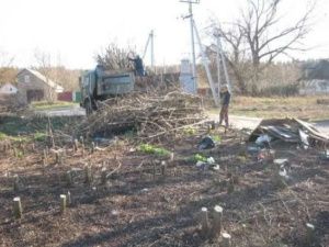 Жителей Якутска призывают принять активное участие по уборке территорий от мусора и сухостоя