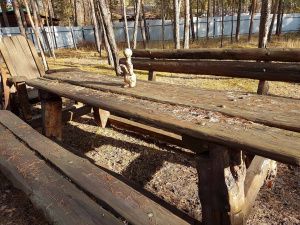 Владелица популярного сайта продает свой уютный дом!