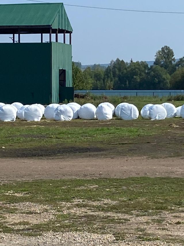 Слово нашим кормильцам: Что посеяли, то и жнём, а еще думаем о перспективах!